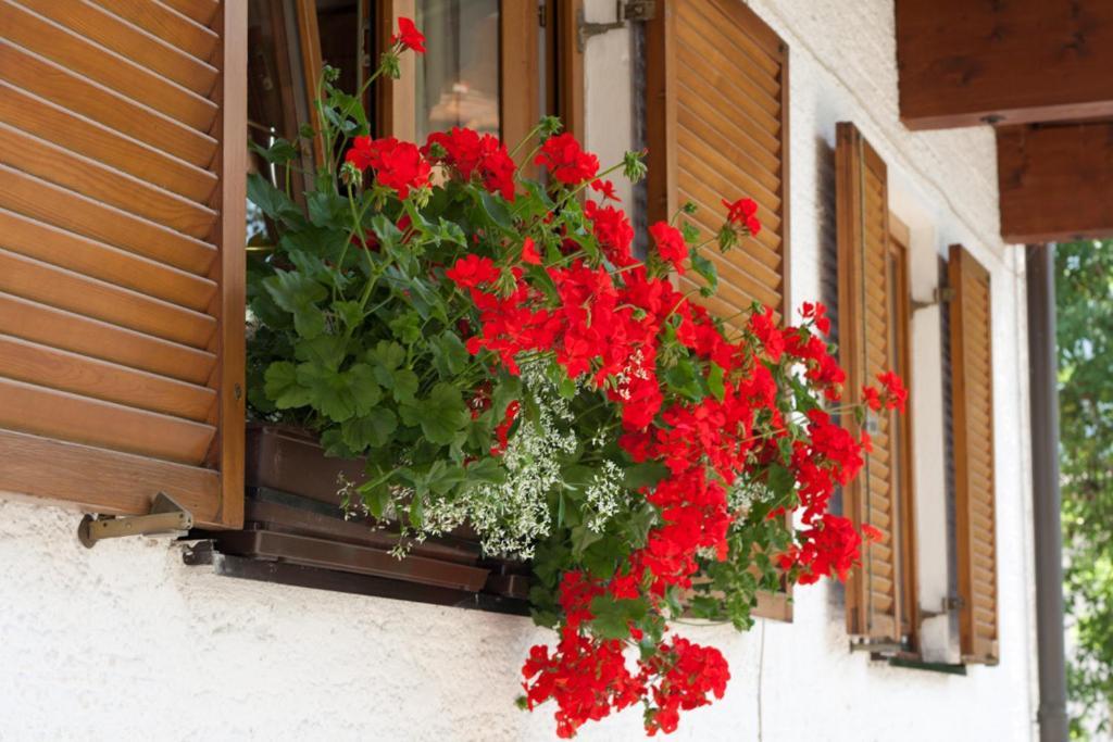 Haus Wendelin Apartment Fulpmes Exterior photo
